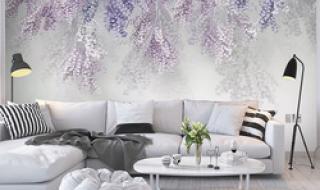 小清新影视 小清新影视